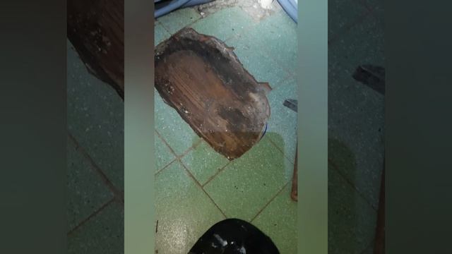 Работа по заявкам )))
Замена канализации , установка унитаза,  замена сифона на ванной.