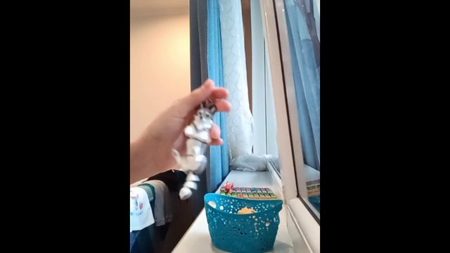 ВАЖНАЯ НОВОСТЬ!)🤎🤍 3 д игрушки волк лорд СКОРО ПОПОЛНЕНИЕ!