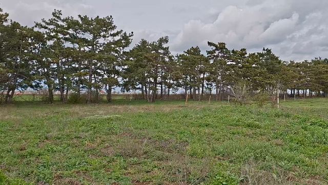 Участок в Крыму с. Абрикосовка.
18 соток ижс. 
1.7 млн.руб.
коммуникации по границе участка