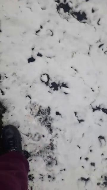 иду в магазин