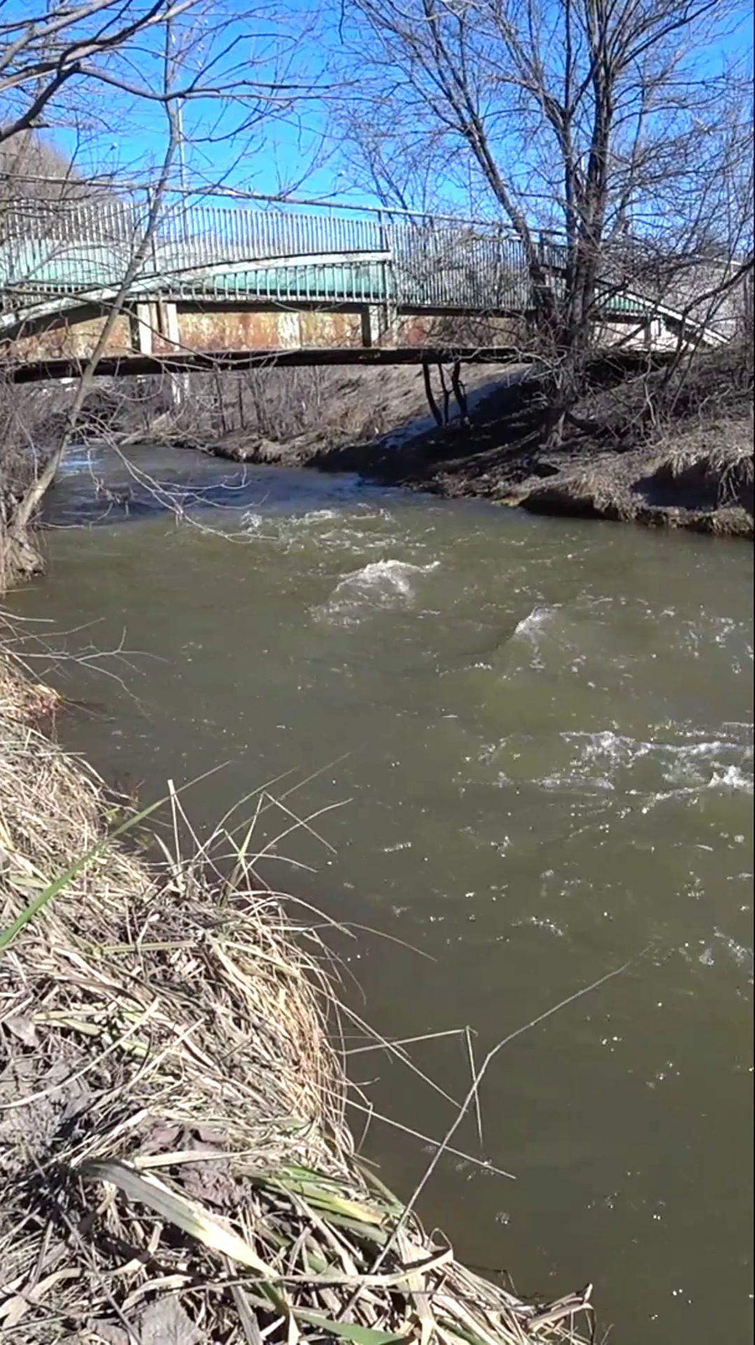 Речка СХОДНЯ рядом с МКАД.