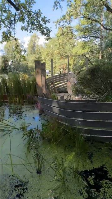 Сады и Люди. Сад Марии Принтц. Ковчег переехал в частный сад.