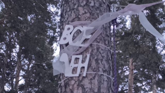 12. Гора Мраткино (806 метров). 7 февраля 2026 года.