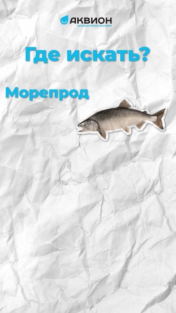 Витамины группы B