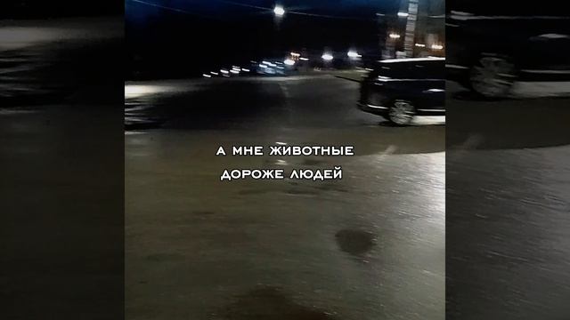 а мне животные дороже