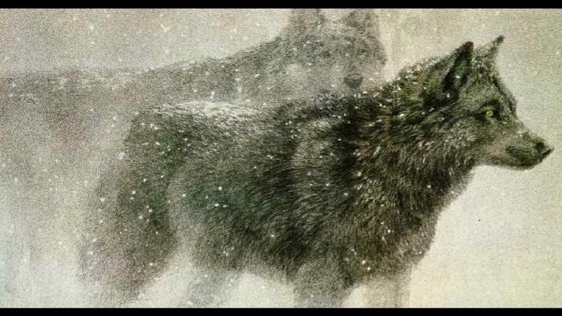 МК 5.45 - ВЬЮГА (Годы годуй...)