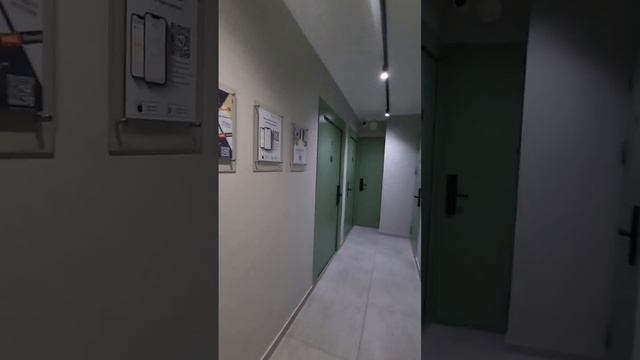 Нагорная студия