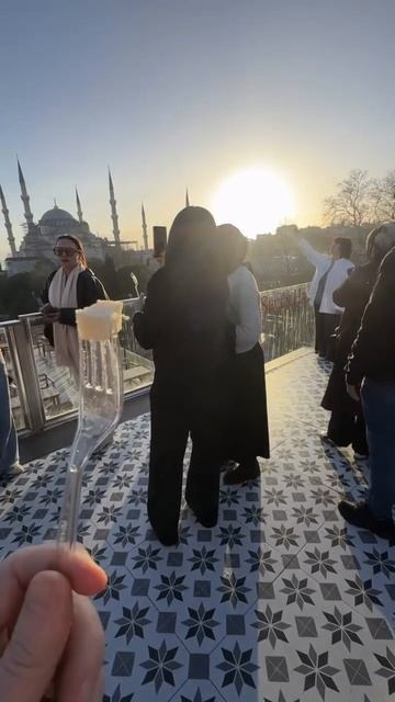 Вот такая любовь ❤️ до конца 🦢 #чайка