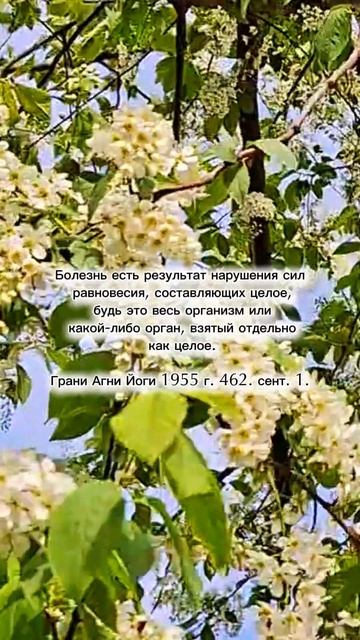 Грани Агни Йоги. Болезнь