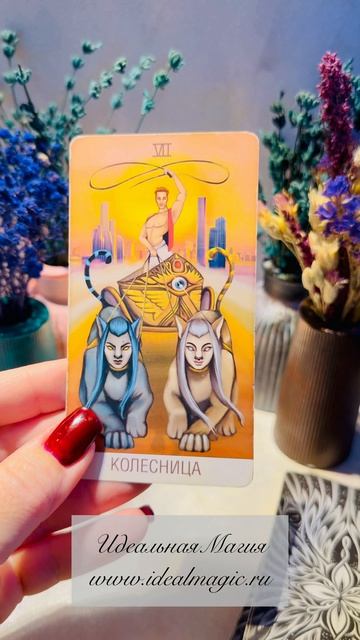 Прогноз на сегодня ✨