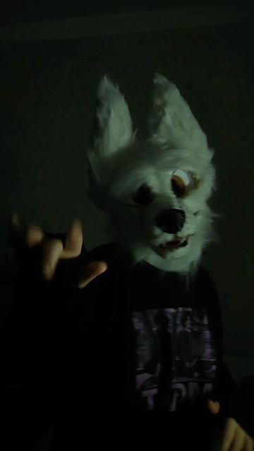 Узнали откуда песня? 🐯