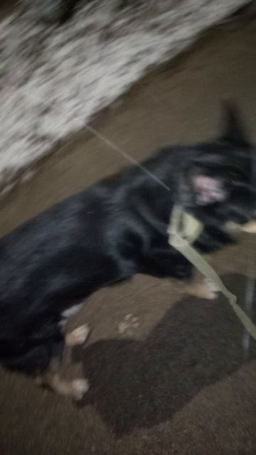 На что- то разозлился Апрель. И осыпал нас снежком.