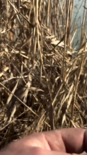 B5836000e44cdb17d1af8b9271465104