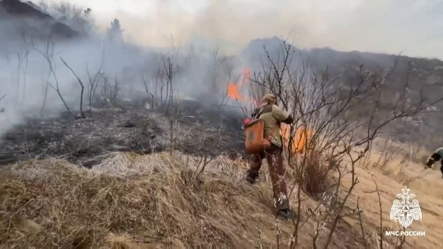 Ландшафтный пожар в Шебалинском районе Республики Алтай