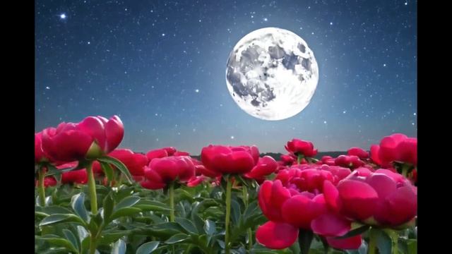 аромат пионов