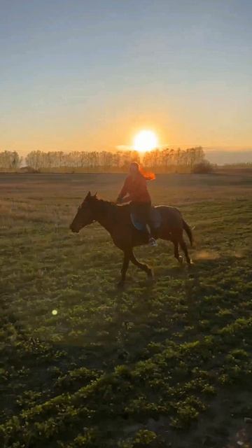 Галоп на закате