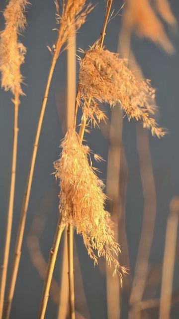 A9185f6f728416792995430ce608960f