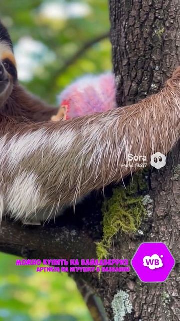 ЛЕНИВЕЦ Артикул на ВБ: 497842441 #игрушки #мягкиеигрушки #wakuku #вакуку #popmart #letsvan