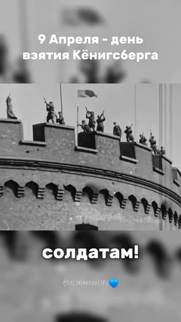 D19632ce54491d6698774ecb773c4261