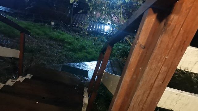 СОЧИ ГОРНОЕ ЛОО УТРО 09.94. 2026