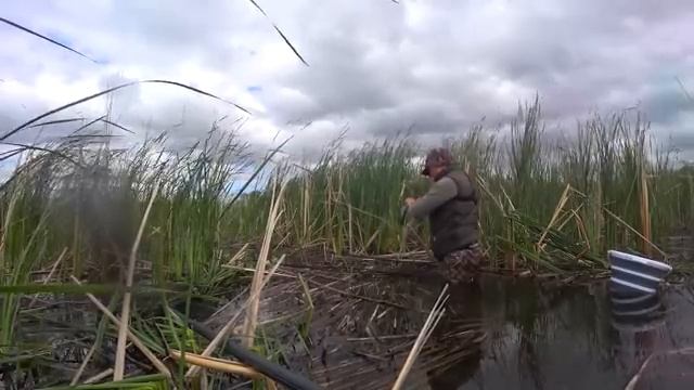 62d9567b2631c8c52ced7440b2012bef