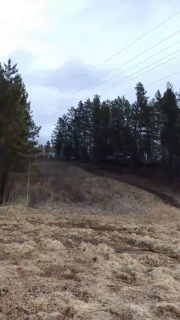 Секретные ИЖС, спрятанные в лесу