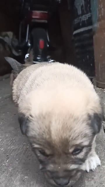 Я просто люблю!.mp4