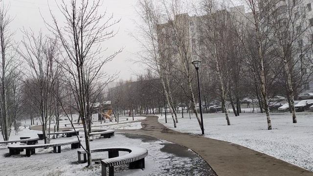 А у нас снова зима.Москва.Снег.