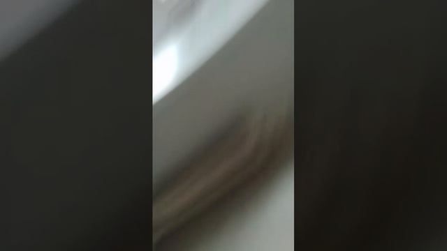 показываем драконов и имена