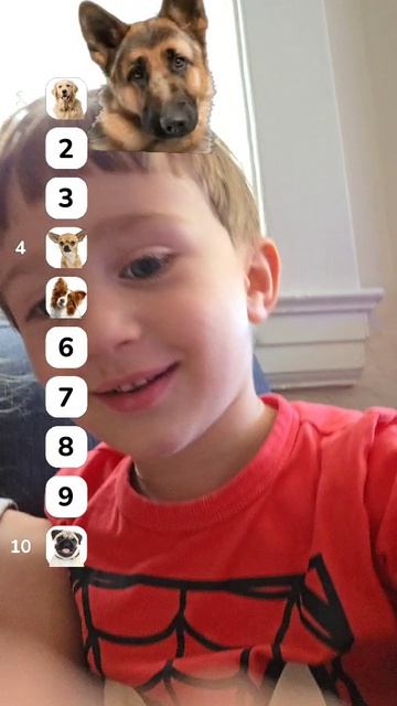 мой трёхлетний брат оценивает собак