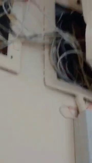 26b65d2e8ddbbe5e6cf73547e2901884