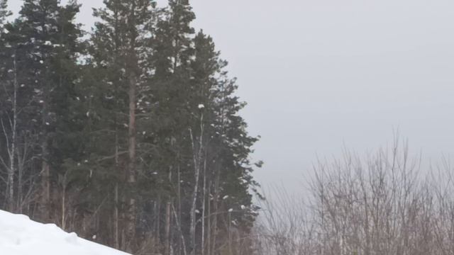 3. Гора Мраткино (806 метров). 7 февраля 2026 года.