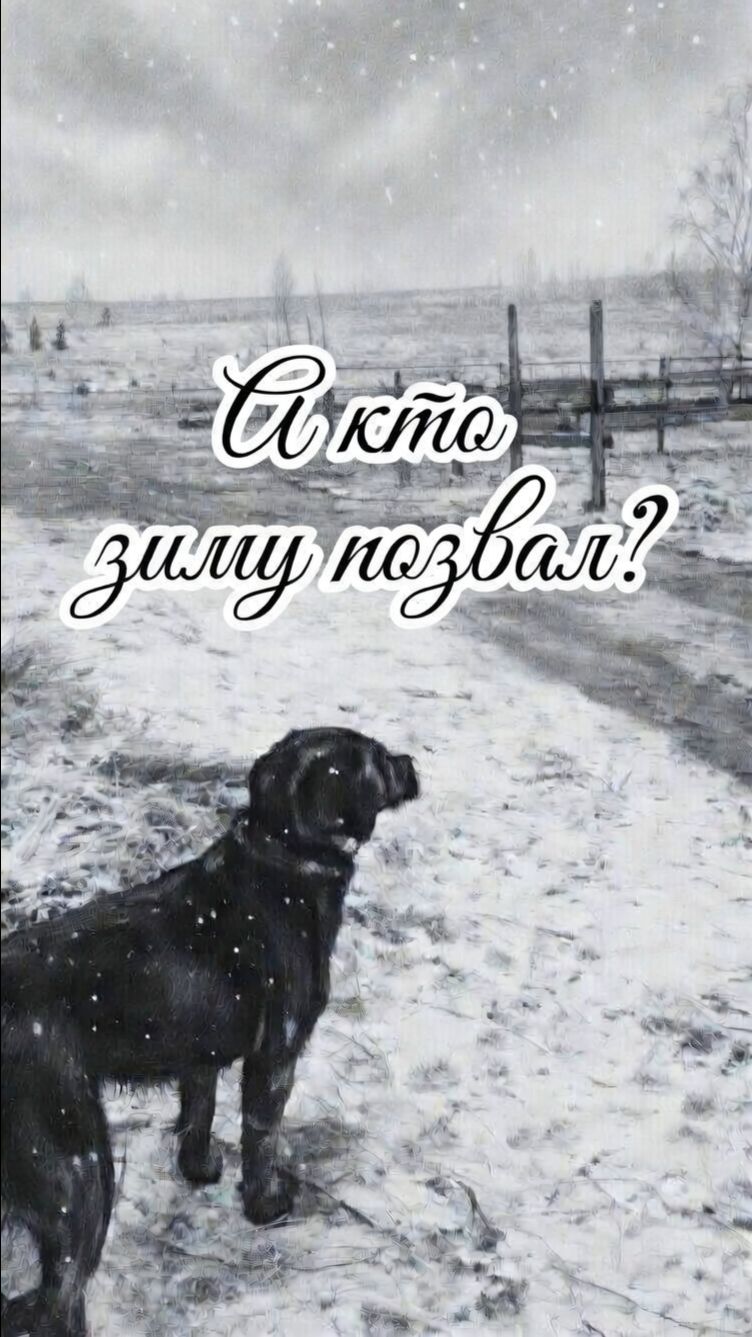 Кто зиму позвал?