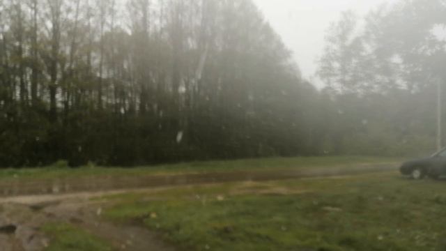 8 мая, идет снег. 2024 год