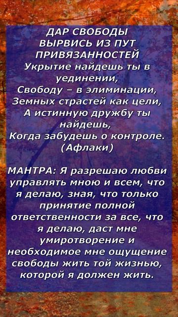 ДАР СВОБОДЫ - ВЫРВИСЬ ИЗ ПУТ ПРИВЯЗАННОСТЕЙ