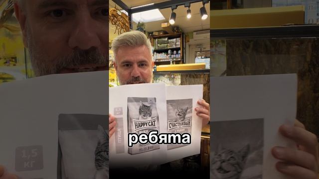 Будни Мохнатого Бро, 1 выпуск (#дизайн)