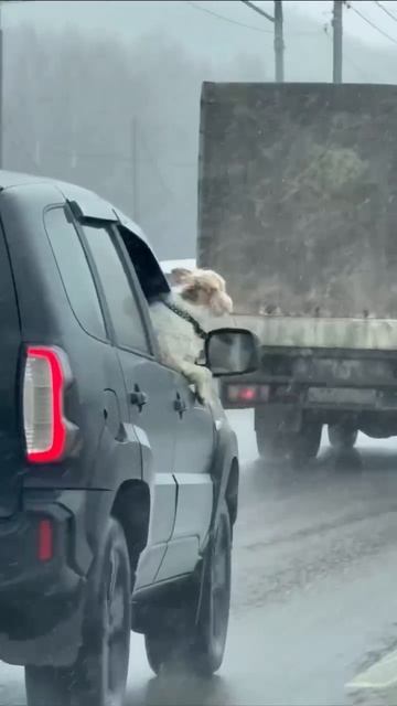 А кому-то такая погода очень нравится 🤭