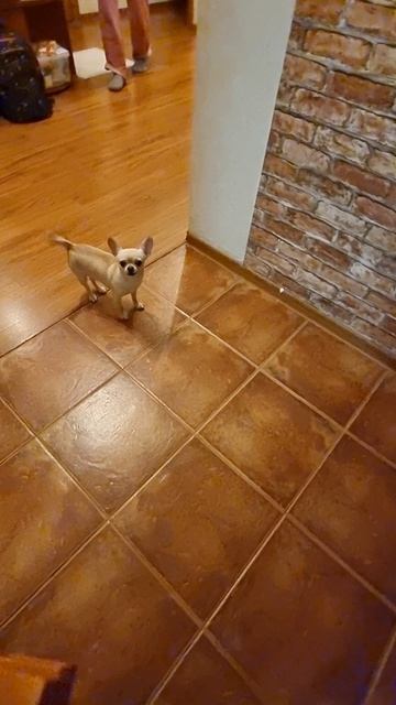 5fab25967ac1a859d2bdf6b37d242d25