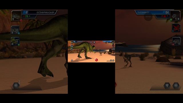 выбил карно