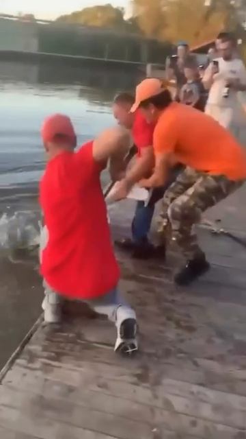 B625dcf63a7f5f04b92c67114640821e