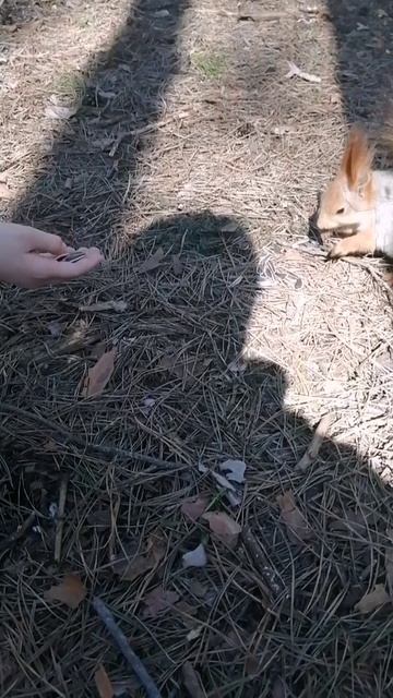 У нас на районе