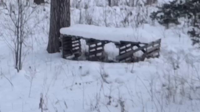 11. Гора Мраткино (806 метров). 7 февраля 2026 года.