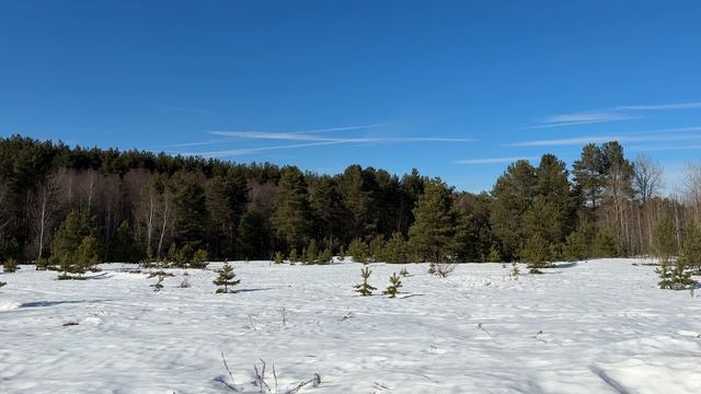 д Новочеркасское