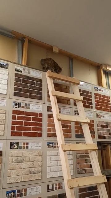 Наш камень проверен кошачьей инспекцией!