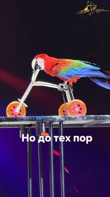 Вы все пропустили!!