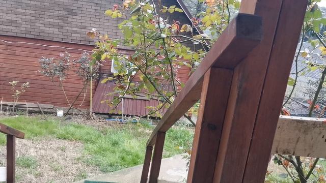 СОЧИ ГОРНОЕ ЛОО ВЕЧЕР 09.04.2026