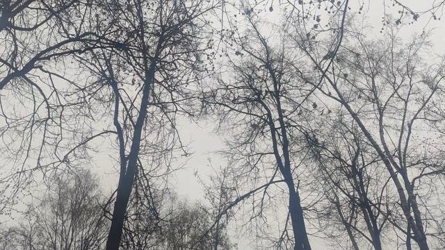 9 апреля ждите улучшение в погоде волшебник на улице