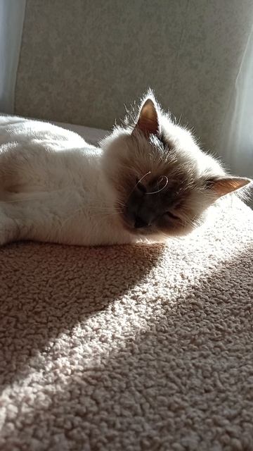 ДЕБИЛЬНАЯ УЧИЛКА