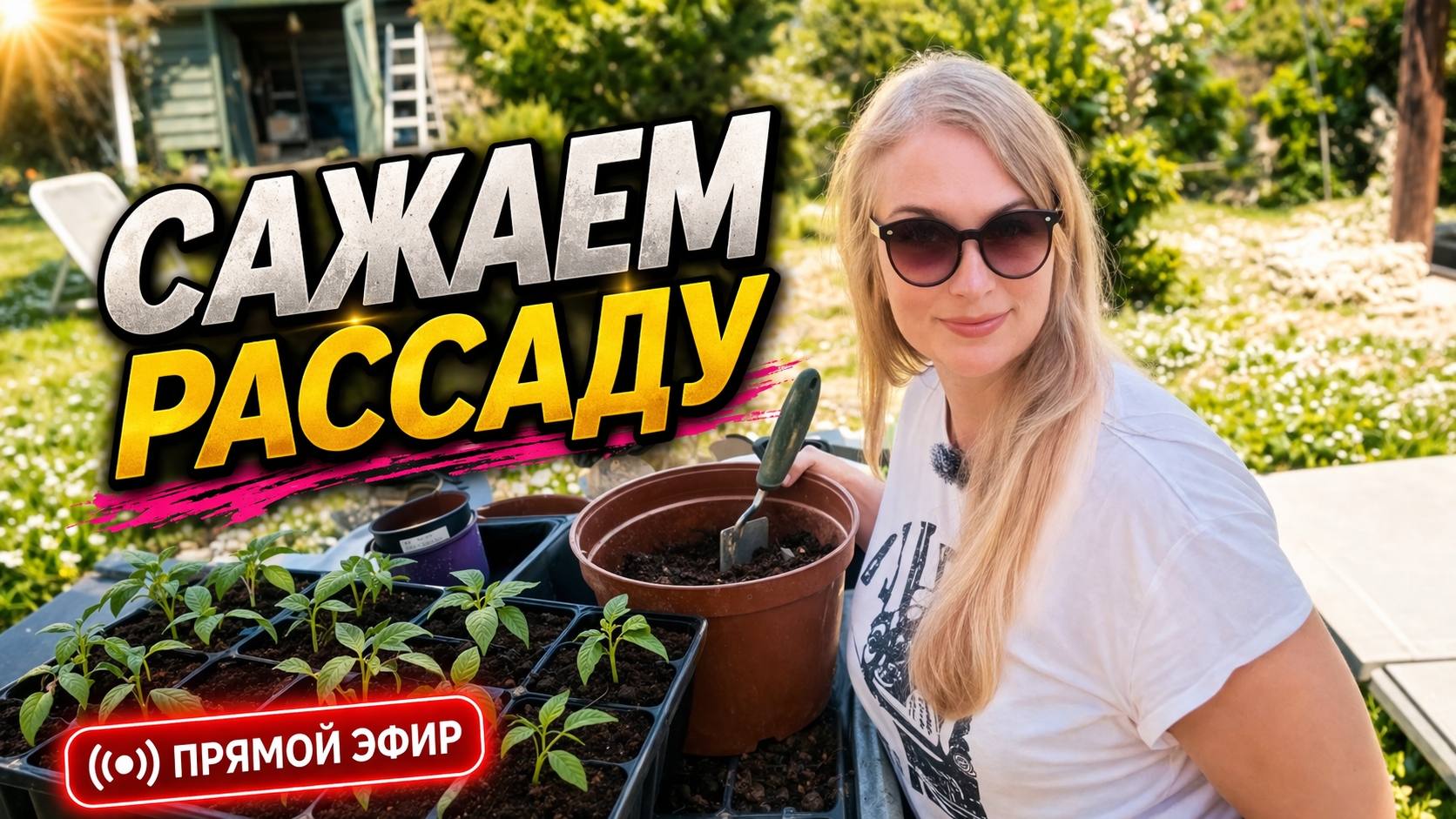 Пикируем и болтаем. На даче.