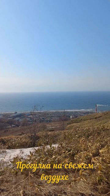 Челлендж 75 дней - день 29✨✅ #мотивация #челленджы #спорт #пп #75hardchallenge